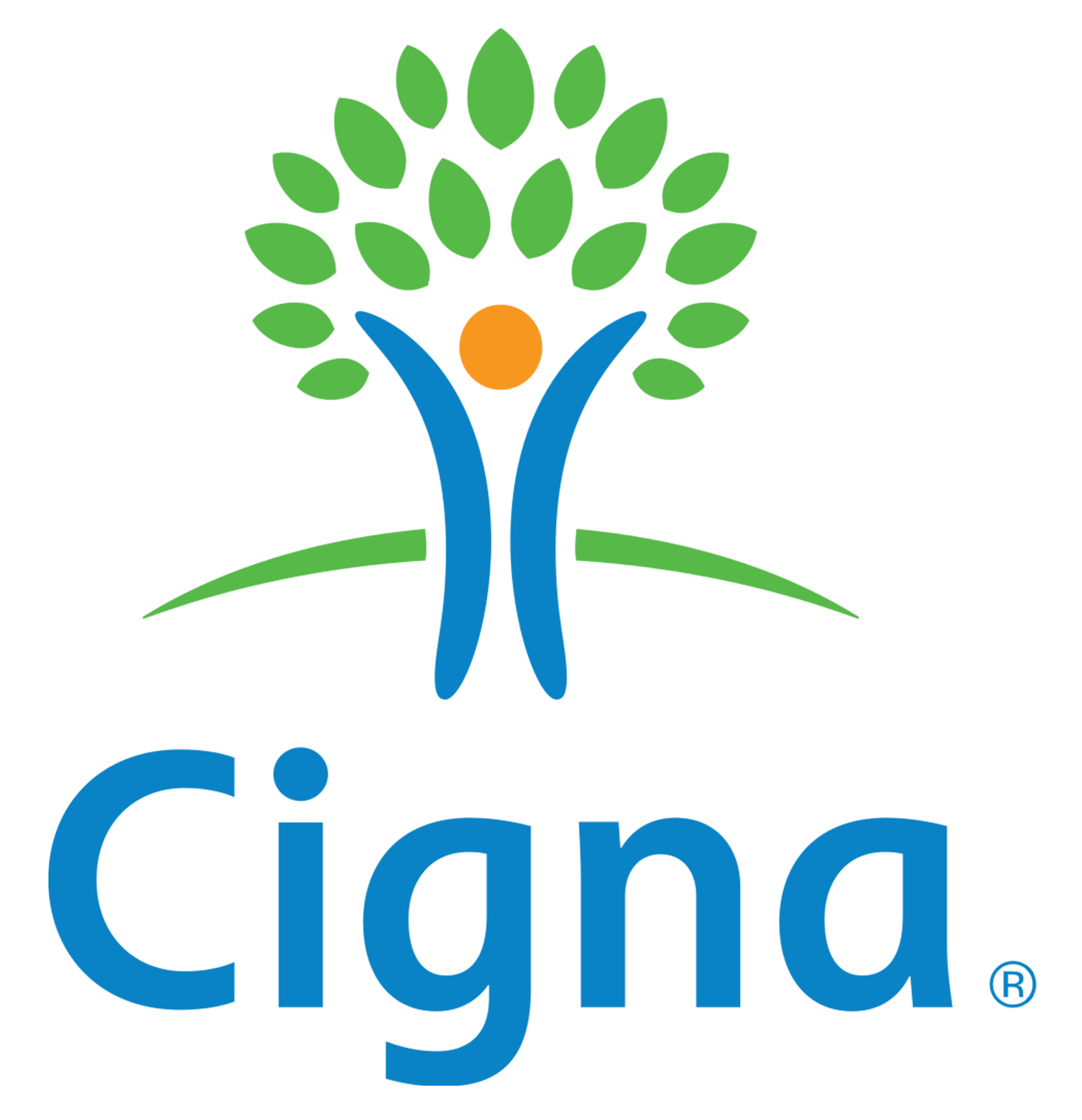 purepng.com-cigna-logologobrand-logoiconslogos-25151994073572jqp